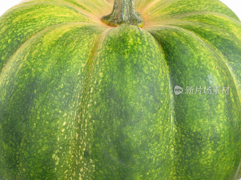 南瓜Cucurbita Moschata